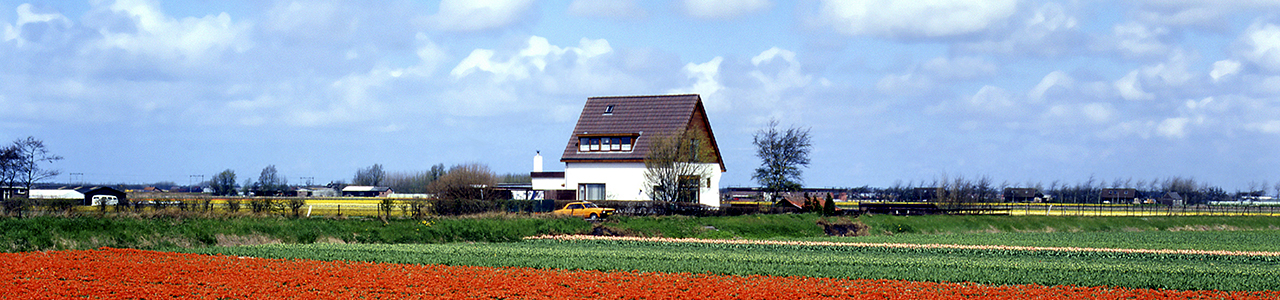 The Japan-Netherlands Society