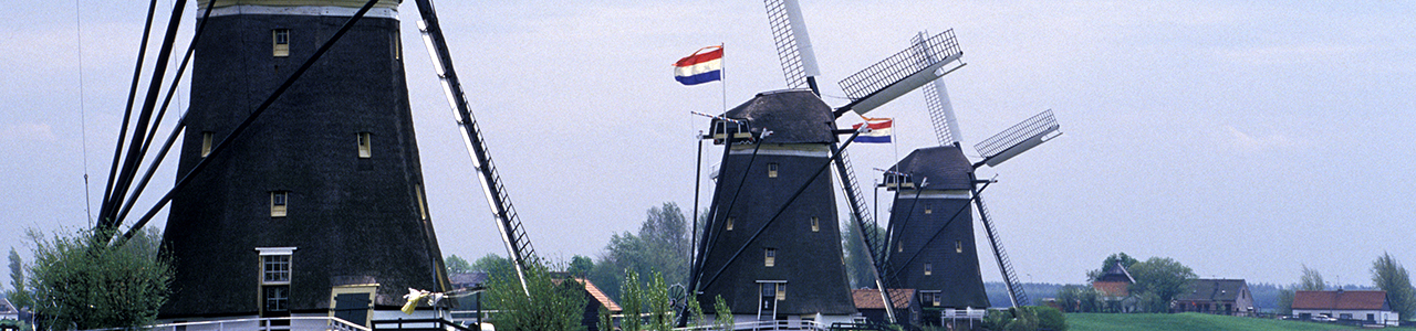 The Japan-Netherlands Society