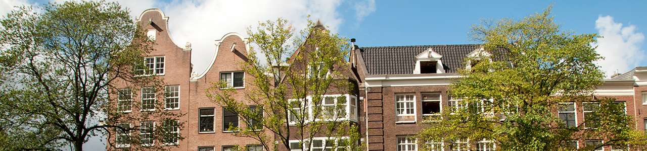 The Japan-Netherlands Society